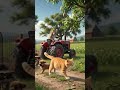 cat broke cage for Coca-Cola #redbull #pepsi #cat #dog #dog
