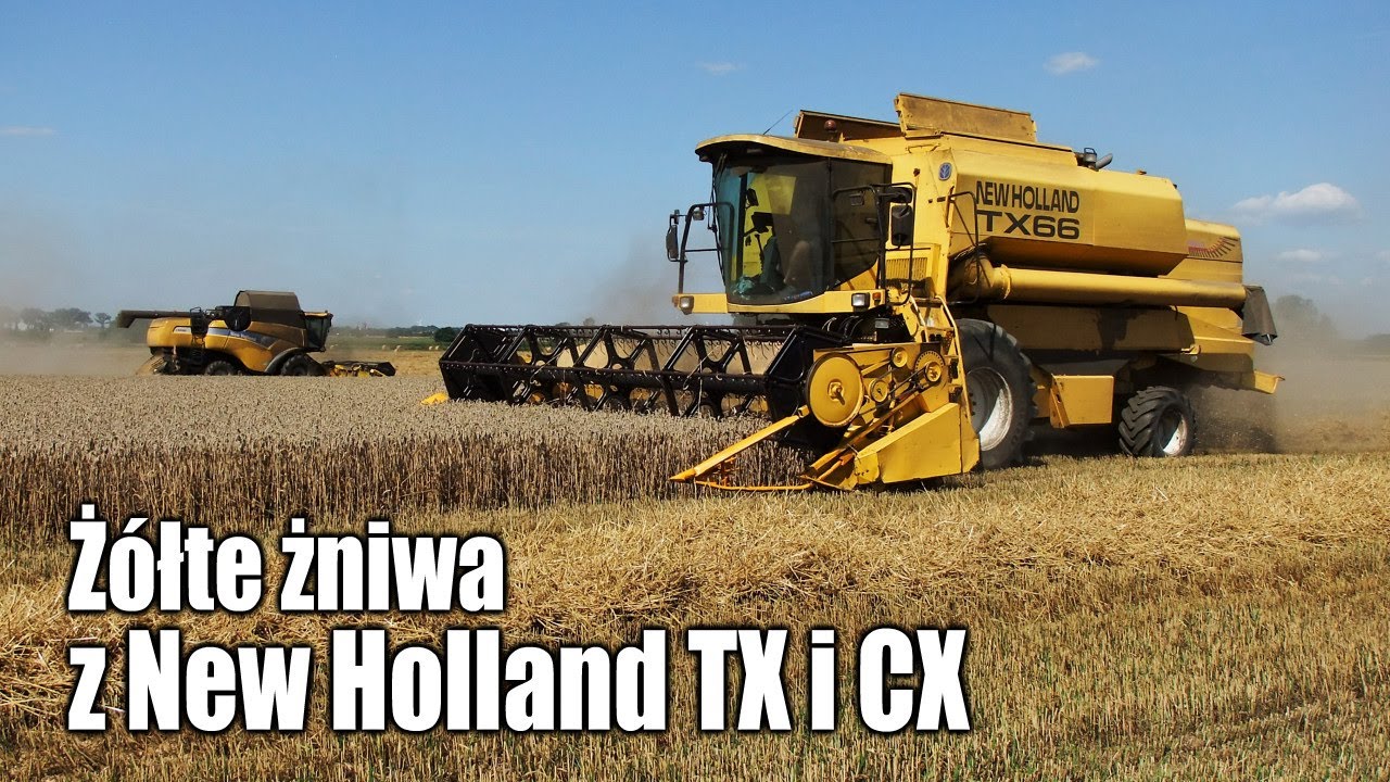 maxresdefault Żółte żniwa z New Holland TX 66 i CX 8080   VIDEO