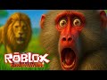 VERGONHA - Jogador DESONESTO usou Hack - Savana Life - Roblox