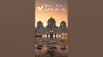 ما تيسر من سورة العنكبوت بصوت القارئ عبد الرحمن مسعد ❤️