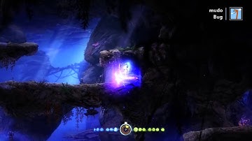 Ori and The Blind Forest - Bug