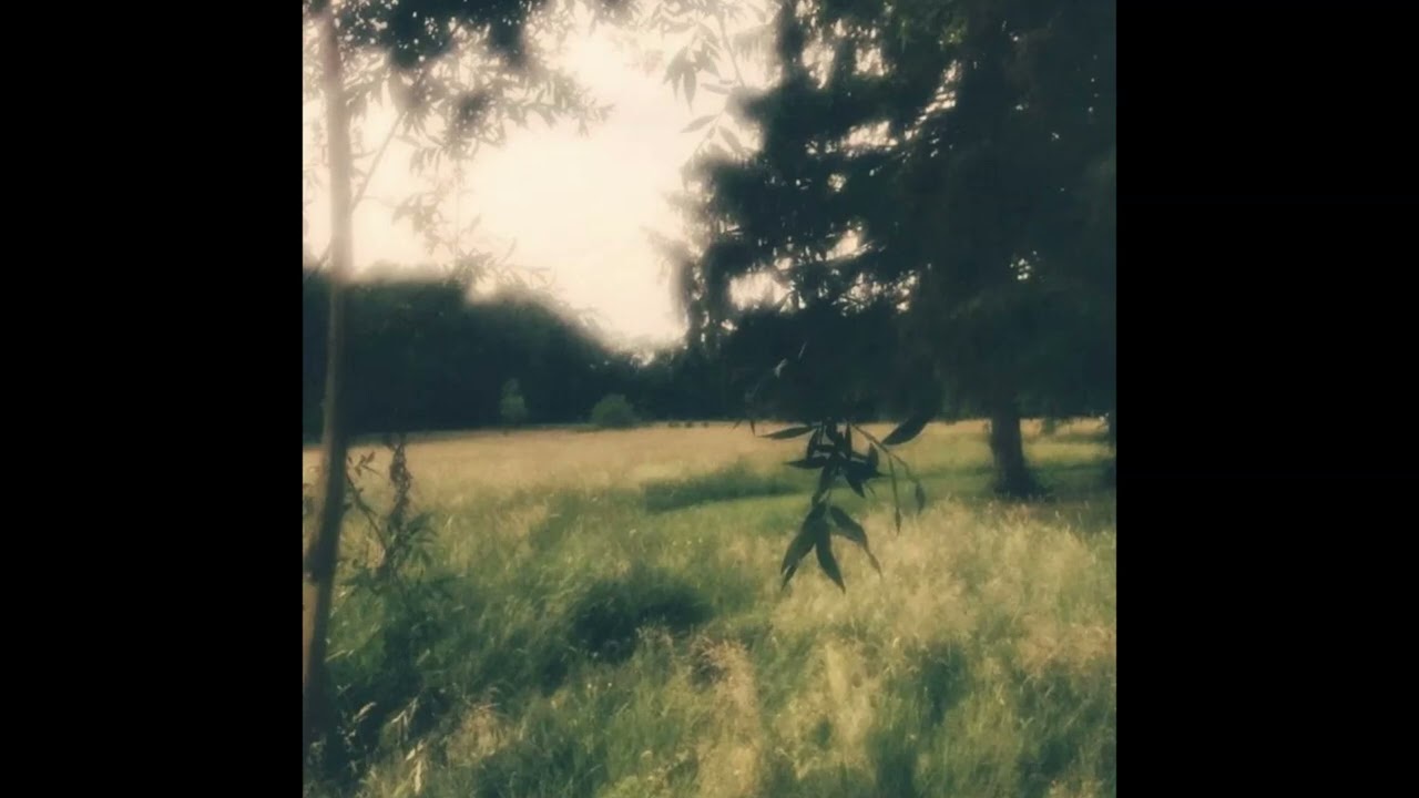 (free for profit) - *no drums* ambient sad acoustic guitar album interlude/intro 