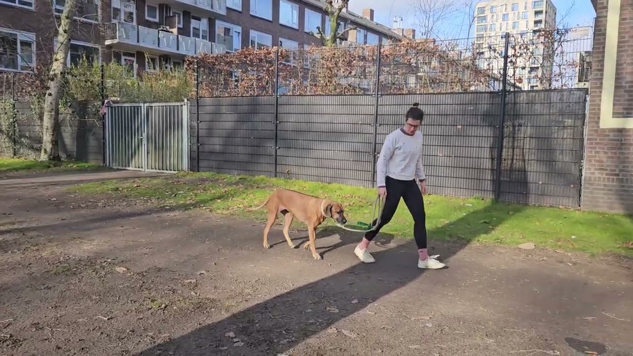 20260131 Nova observatie