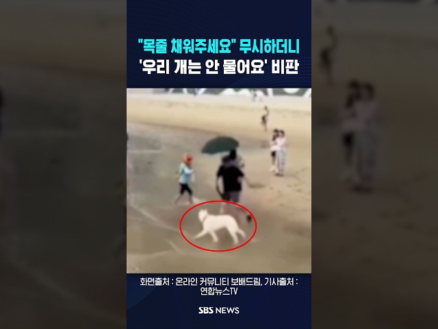 "목줄 채워주세요" 무시하더니 결국.. #shorts