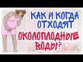 Как и когда отходят околоплодные воды?