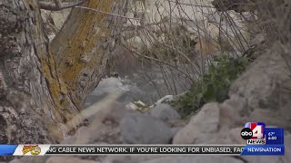Police say foul play not suspected in death of elderly woman found in Box Elder Creek