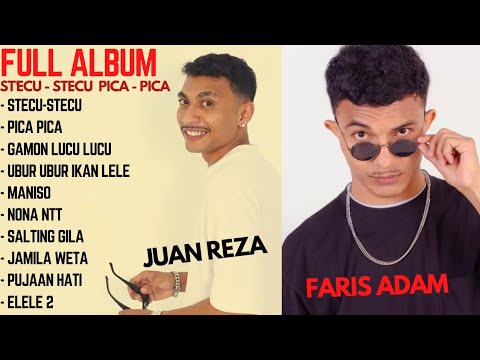 FARIS ADAM \u0026 JUAN REZA - STECU STECU - PICA PICA FULL ALBUM 2025 || LAGU TIMUR 2025