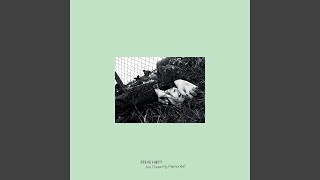 Steve Hiett 渚にて　LP 極美品 Amazon.co.jp: 渚にて(期間生産限定盤): ミュージック