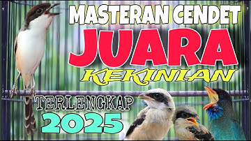 MASTERAN CENDET JUARA  SPESIAL KEKINIAN TERLENGKAP TERBARU PALING JITU AMPUH MUDAH MASUK