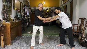 Yan Shou Gong - Sets 7-12 | 2nd Online Course with Master Yap Boh Heong