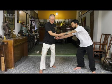 Yan Shou Gong - Sets 7-12 | 2nd Online Course with Master Yap Boh Heong