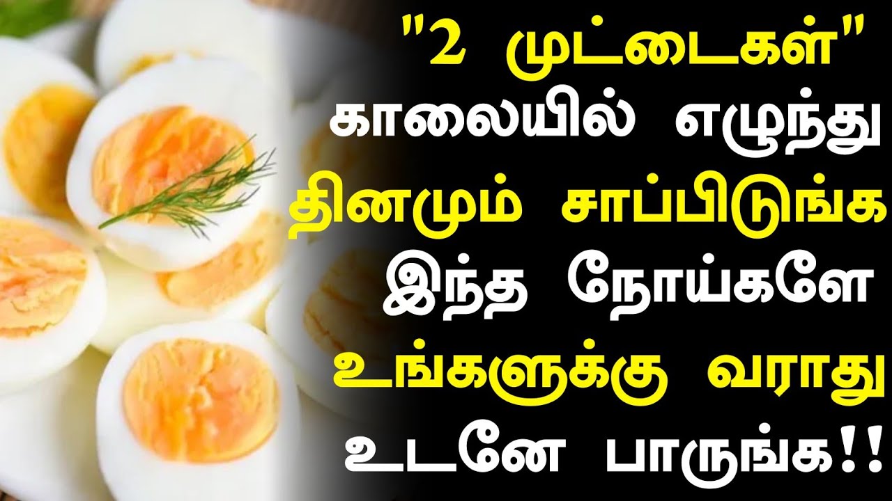 காலையில் முட்டை சாப்பிடுவீங்களா? | Health Benefits of Eating Eggs in Tamil| Egg Health Tips in Tamil