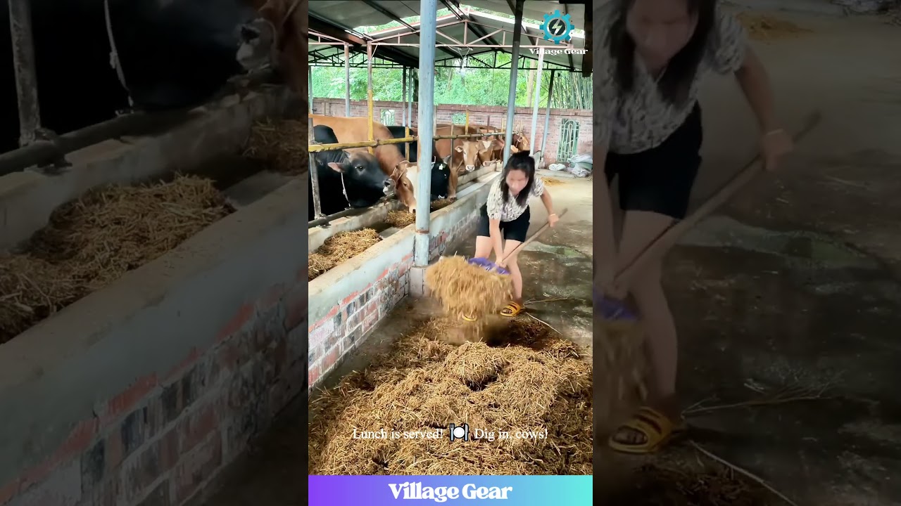 Couple's Farm Workout! 💪 Feeding Cows in a DRESS?! 😂 
