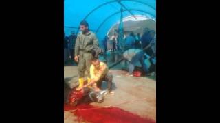 Kasap Ergün 2015 kurban kesimi doğançay İzmir