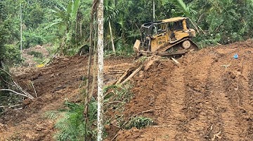 D6R XL Bulldozer Innovative Solution for Oil Palm Plantation Land