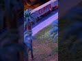 Palm Trees and a Train #shorts