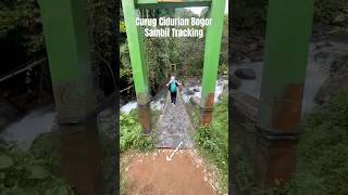 Ambient nya syahdu #curugbogor #explore #short