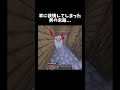 羊に欲情してしまった男の末路... #あるある #マイクラ #マインクラフト #minecraft #末路シリーズ