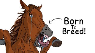 Why It Sucks To Be Born As A Wild Horse