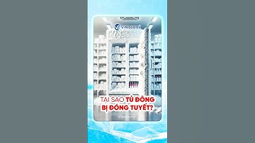 Tại sao tủ đông bị đóng tuyết? Nguyên nhân & cách khắc phục hiệu quả!