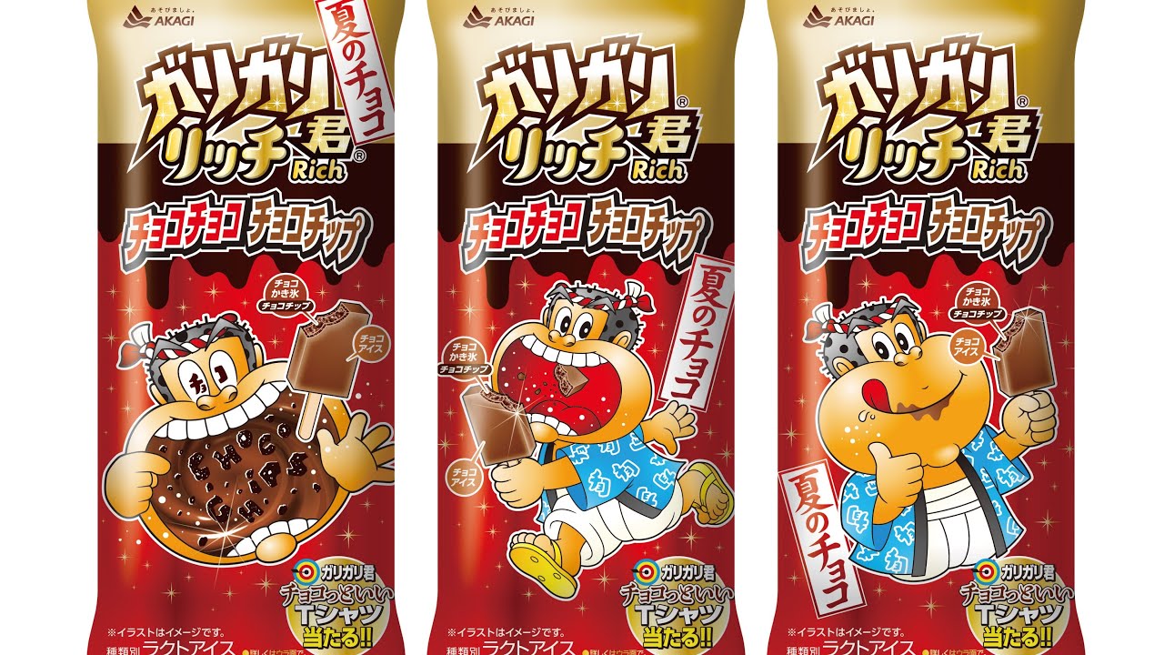 ガリガリ君「リッチ」チョコチョコチョコチップ