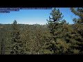 See the regrowth: Big Basin redwood timelapse shows recovery from CZU Lightning Complex Fire