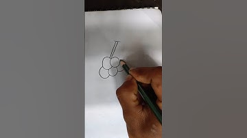 Graphs 🍇🍇🍇 Drawing #fruits #easyart technique #reels #shorts