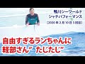 自由すぎるランちゃんに軽部さん”たじたじ”【2020年2月10日3回目　鴨川シーワールド　シャチパフォーマンス】