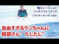 自由すぎるランちゃんに軽部さん”たじたじ”【2020年2月10日3回目　鴨川シーワールド　シャチパフォーマンス】