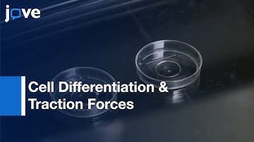 High-Throughput Cell Microarray Platform: Correlative Analysis l Protocol Preview