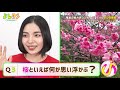 【2021年放送】よんよんチャレンジ 城南海