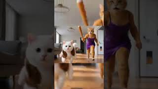 &quot;AI Cat Gives Itself a Haircut… And It’s Hilarious! 😹✂️&quot;#Shorts#KittenHaircut#CatShorts#FunnyCats#AI