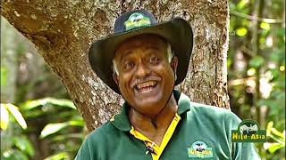 Wild Asia Episode 426 (17-Sep-2021)