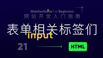 [网站开发入门指南21] 表单元素们中的input标签｜ html css零基础入门教程