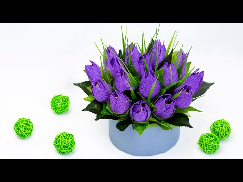 Video: Blomstrer et tulipantre?