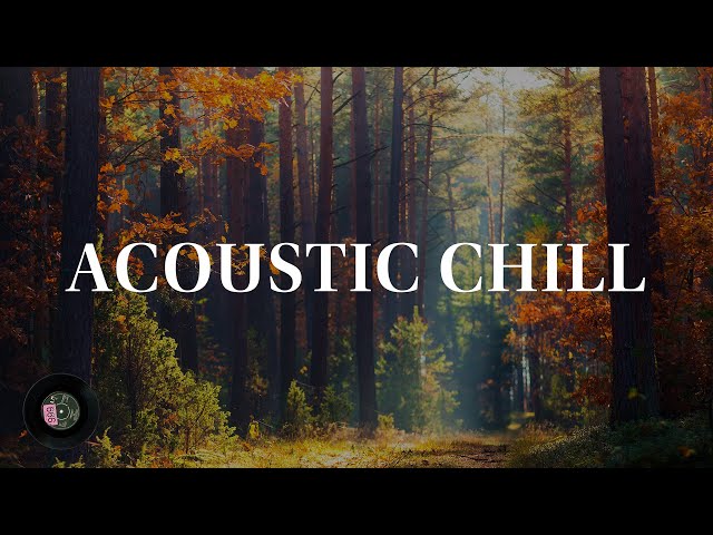 Unplug and Unwind: A 1 Hour Acoustic Chill Playlist for Relaxation class=