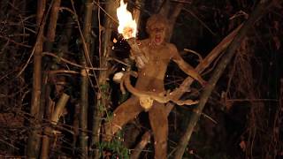 screenshot of the youtube video