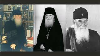113  Иустин Попович 113