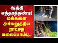 ஆத்தி எத்தாண்டி! மக்களை அச்சுறுத்திய ராட்சத மலைப்பாம்பு..