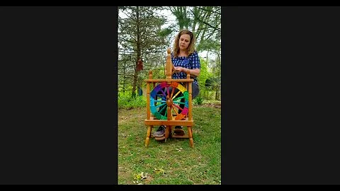 Michelle Amos and The Spinning Wheel | Artist's To...