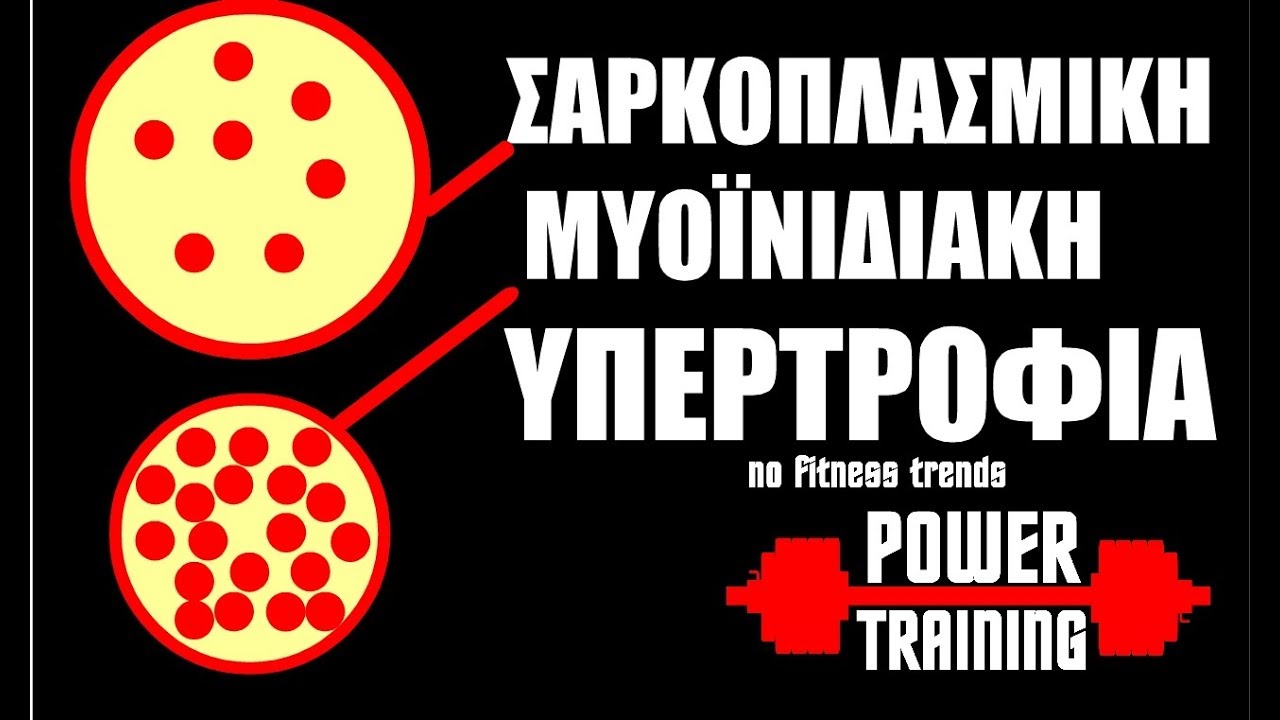 Τα είδη της υπερτροφίας (muscle hardness)