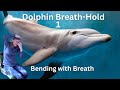 Dolphin Breath-Hold 1 / Breathing Practice for a Stiff Back