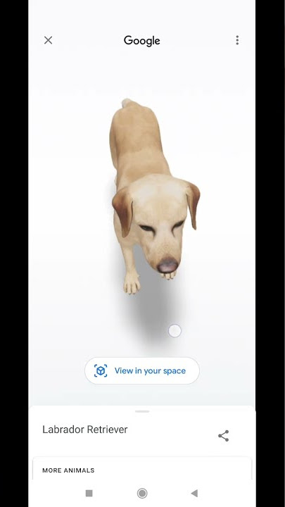 A Realidade Aumentada chegou à Google com animais em 3D - 4gnews
