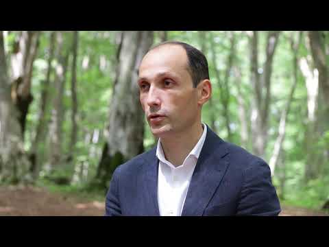 რეინჯერებს პროფესიული დღე მიულოცეს