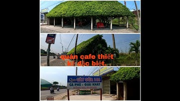 Cận cảnh quán cafe độc lạ nhất Việt Nam : mái che làm bằng 26 cây si ở Long An. | Ba Duy