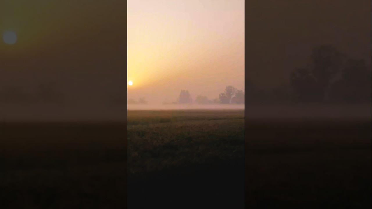 Go East or West Nature Scenes are Always Best Stay Blessed With Green Nature Beautry 