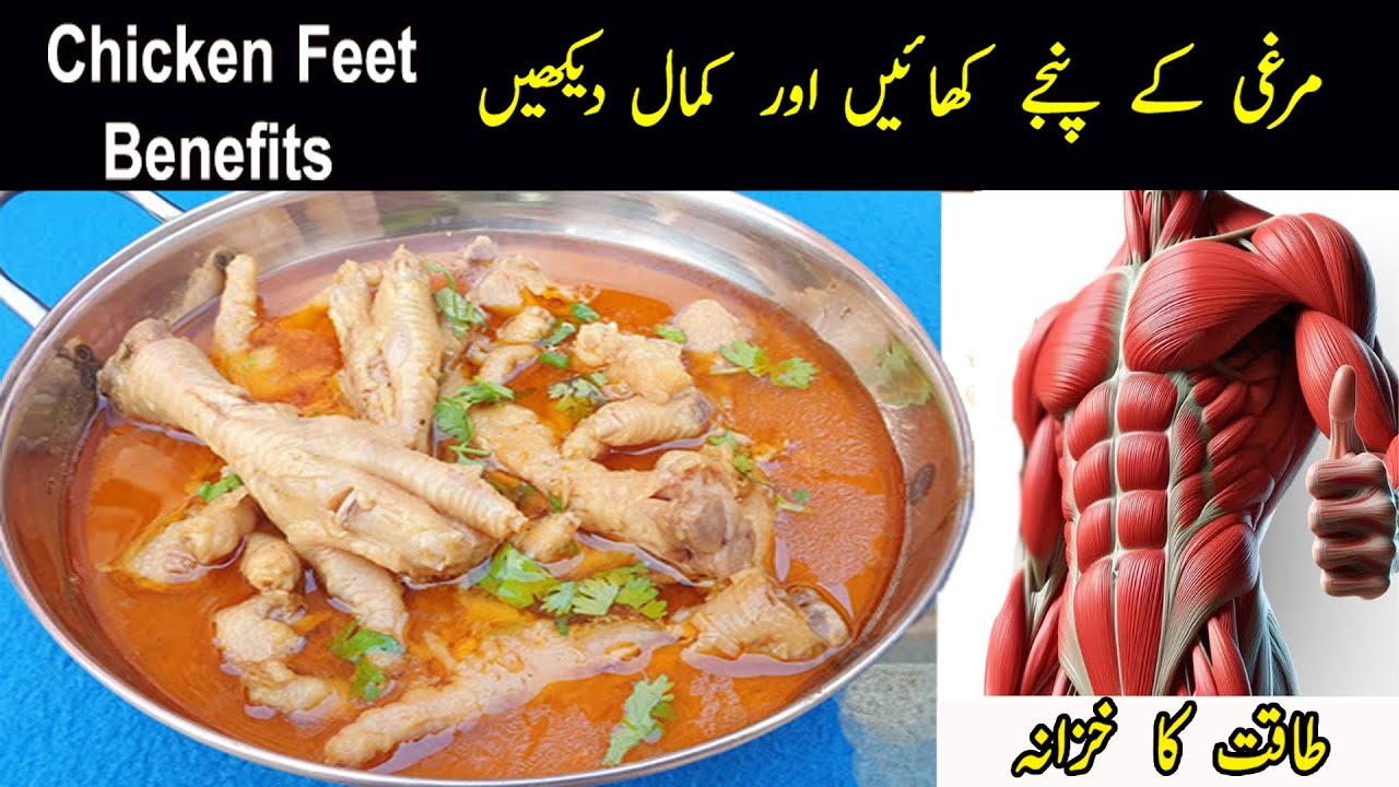 Chicken Feet Benefits In Urdu/Hindi Murgi ke Panje ke Fayde Murgi