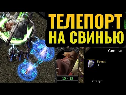 Видео: Топ-1 игрок за Альянс вспомнил МЕЧТУ: Массовый телепорт на Свинью в Warcraft 3