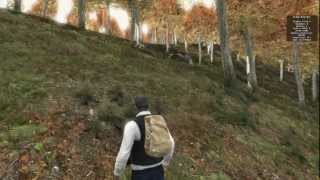 Мэддисон: Мнение о DayZ (не обзор)