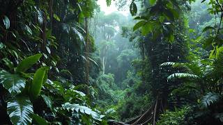 99% Instantly Deep Sleep With Best Rain Sounds – Rainforest Ambience for Insomnia Relief